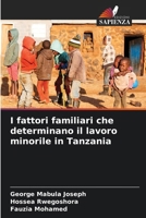 I fattori familiari che determinano il lavoro minorile in Tanzania (Italian Edition) 3330080264 Book Cover