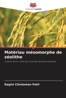 Matériau mésomorphe de zéolithe: A partir de la cosse de riz et des cendres volantes 6205996448 Book Cover
