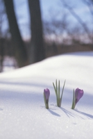 Returning to me... B0851M9JMF Book Cover