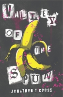 Valley of the Spun B0GLFLT8H3 Book Cover