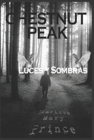 Luces y sombras 1720152969 Book Cover