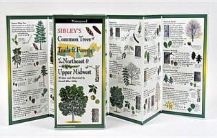 Sibley's Trees of Trails and Forests of the Northeast & Upper Midwest 1935380508 Book Cover
