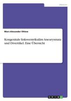 Kongenitale Linksventrikulare Aneurysmata Und Divertikel. Eine Ubersicht 3656968438 Book Cover