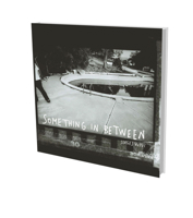 Sergej Vutuc: Something in  Between 3940953628 Book Cover