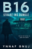 B16 – Straße ins Dunkel: Wo der Tod wartet, ist jeder Halt tödlich (German Edition) B0FHB941Z5 Book Cover
