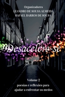 Desacelere-se 2 (Portuguese Edition) 6500540689 Book Cover