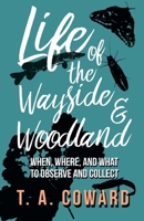 Life of the Wayside and Woodland - When, Where, and What to Observe and Collect 152870164X Book Cover