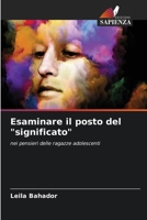 Esaminare il posto del "significato" (Italian Edition) 6209998046 Book Cover