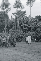 The Gedeo: With a preface by Getachew Senishaw. Edited by Sophia Thubauville null Book Cover