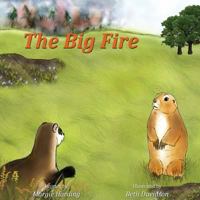 The Big Fire 1943871647 Book Cover