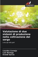 Valutazione di due sistemi di produzione nella coltivazione del sorgo 6206975797 Book Cover