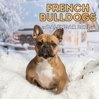 French Bulldogs Calendar 2021: Cute Gift Idea For Bulldog Lovers Or Owners Men And Women B08QWWM9GP Book Cover