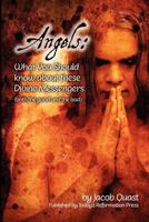 Angels: What You Should Know about these Divine Messengers 097817853X Book Cover