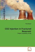 CO2 Injection in Fractured Reservoir: Project Feasibility Study 3639375548 Book Cover