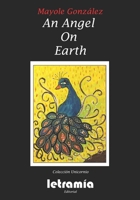 An Angel On Earth 165295693X Book Cover