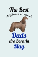 The Best Afghan Hound Dads Are Born In May: Unique Notebook Journal For Afghan Hound Owners and Lovers, Funny Birthday NoteBook Gift for Women, Men, Kids, Boys & Girls./ Great Diary Blank Lined Pages  166166458X Book Cover