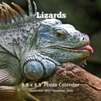 Lizards 8.5 X 8.5 Photo Calendar September 2019 -December 2020: Monthly Calendar with U.S./UK/ Canadian/Christian/Jewish/Muslim Holidays- Nature Lizards Amphibians 107692252X Book Cover