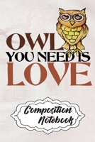 Composition Notebook: 110 Blank Lined Papers - 6x9 Personalized Customized Owl Composition Notebook Journal Gift For Owl Lovers 167621383X Book Cover