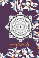 Daily gratitude journal: Gratitude Notebook / journal Gift,120 Pages,6x9, Soft Cover, Matte Finish 1661041736 Book Cover