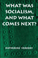What Was Socialism, and What Comes Next? 069101132X Book Cover
