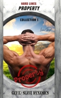 HARD LINES - Property - Collection 1: Gay(l) Slave Dynamics (German Edition) B0GWTNCFDY Book Cover