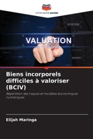 Biens incorporels difficiles à valoriser (BCIV) 620908544X Book Cover