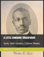 A LITTLE SUNSHINE (illustrated): Early 20th Century Culture Poems 1357018746 Book Cover