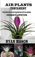 Air Plants Testament: The Complete Guide To Growing Your Tillandsia + Indoor Plants Tips 1072427478 Book Cover