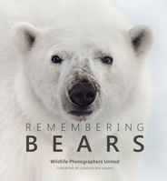 Remembering Bears 1999643364 Book Cover