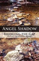 Bridging the Gap: Healing the Shadows Within 1462638937 Book Cover