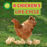A Chicken's Life Cycle 197857553X Book Cover