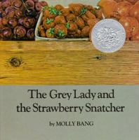 The Grey Lady and the Strawberry Snatcher 0027081400 Book Cover