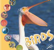 Aves: Birds (Que Es Un Animal? Biblioteca Del Descubrimiento/What Is An Animal? Discovery Library) 1595156283 Book Cover