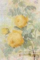 Rosa Sulfurea: Floral Notebook with Flower Illustrations on Every Page 1090576331 Book Cover