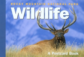 Rocky Mountain Trout Flies: A Postcard Book 076273616X Book Cover