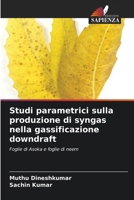 Studi parametrici sulla produzione di syngas nella gassificazione downdraft (Italian Edition) 6208253543 Book Cover