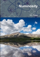 Numinosity 1326988794 Book Cover