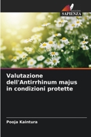 Valutazione dell'Antirrhinum majus in condizioni protette (Italian Edition) 6202640251 Book Cover