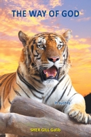 The Way of God: It Just Is 1803813326 Book Cover