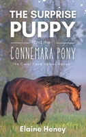 The Surprise Puppy and the Connemara Pony - The Coral Cove Horses Series 1915542529 Book Cover