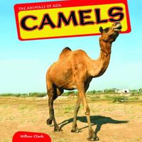 Camels 1448874165 Book Cover