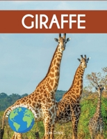 Giraffe: Fascinating Animal Facts for Kids (This Incredible Planet) 1647904293 Book Cover