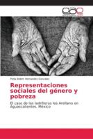 Representaciones sociales del género y pobreza: El caso de las ladrilleras los Arellano en Aguascalientes, México 6202149485 Book Cover