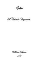 A Edoardo Sanguineti 889364150X Book Cover