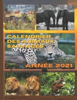 Calendrier des animaux sauvages: Calendrier mensuel illustré B08R27KRK4 Book Cover
