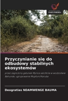 Przyczynianie sie do odbudowy stabilnych ekosystemów: przez zagrozony gatunek Myrica salcifolia w wodzostwie Bahunde, ugrupowanie Mupfuni/Karuba (Polish Edition) 6208704219 Book Cover