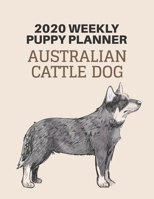 2020 Puppy Planner: Australian Cattle Dog Lover Gift Weekly Planner, Year At A Glance And Vertical Dated Pages With To-Do List and More. 170631633X Book Cover