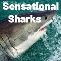 Sensational Sharks: Fun Science Facts About Sharks For Kids 3-5 B08GB7MM17 Book Cover