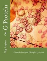 G Protein: Characterisation of phospholamban phosphorylation in response to beta1-adrenoceptor stimulation in cardiac H9c2 myocytes 1540556433 Book Cover