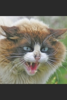 LE CHAT: Histoire de gens ordinaire 2910612147 Book Cover
